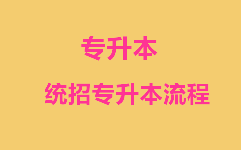 福建统招专升本流程